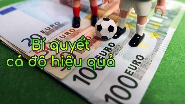 bí quyết cá độ bóng hiệu quả