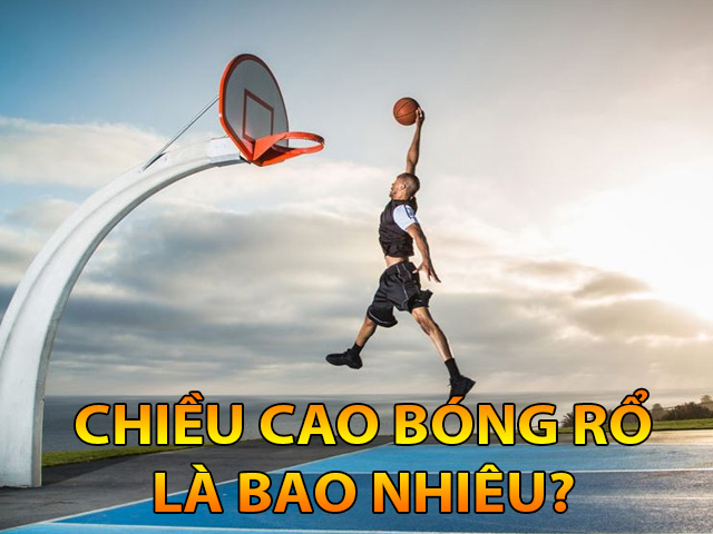 chiều cao bóng rổ