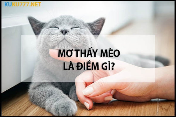 Mơ thấy mèo