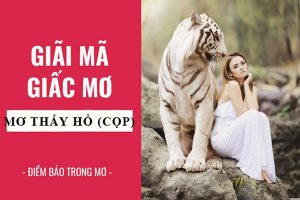 Giấc mơ thấy hổ