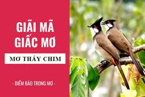 Mơ thấy chim