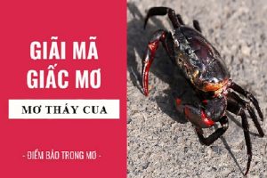 Mơ thấy cua