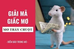 Giải mã giấc mơ thấy con chuột