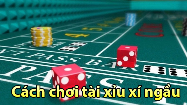 cách chơi tài xỉu xí ngầu